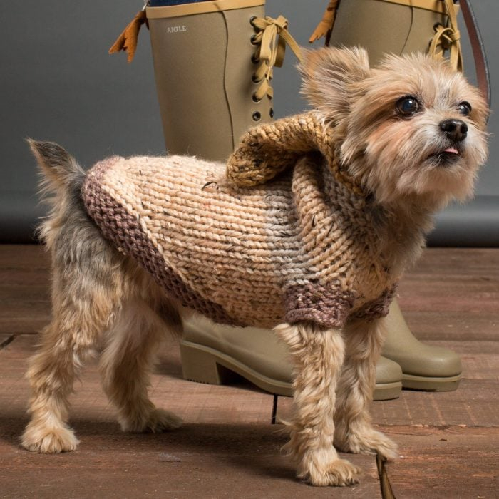 10 Free Easy Knit Dog Sweater Patterns Romney Ridge Farm