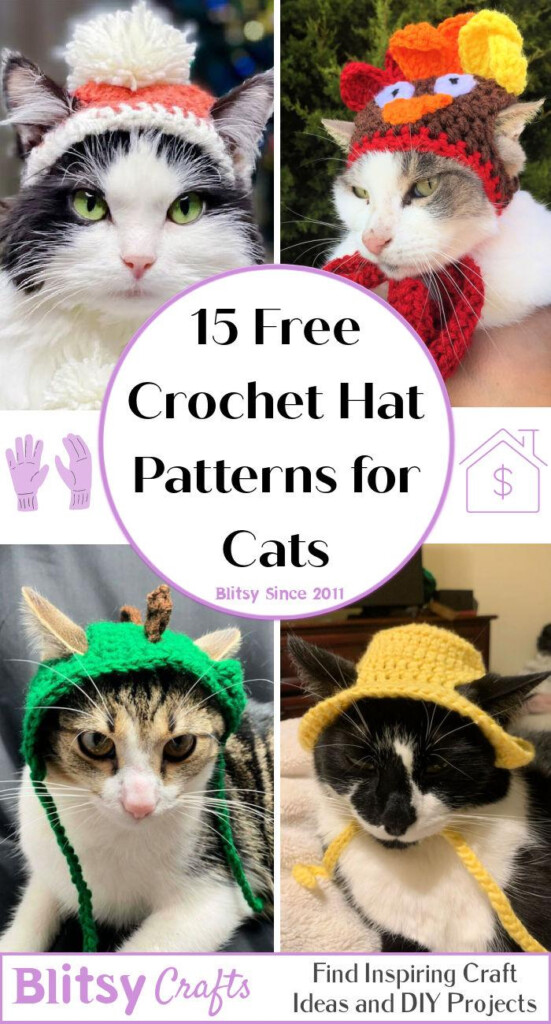 15 Free Crochet Hat Patterns For Cats Cat Hat Pattern 