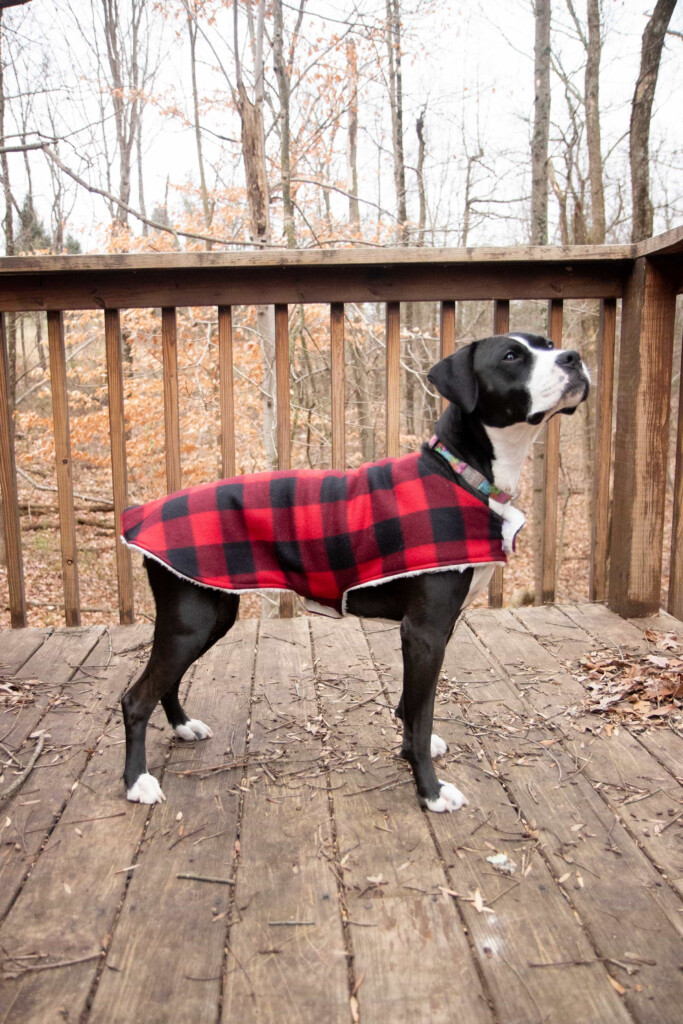30 Free Sewing Pattern Dog Coat DevinderConnie