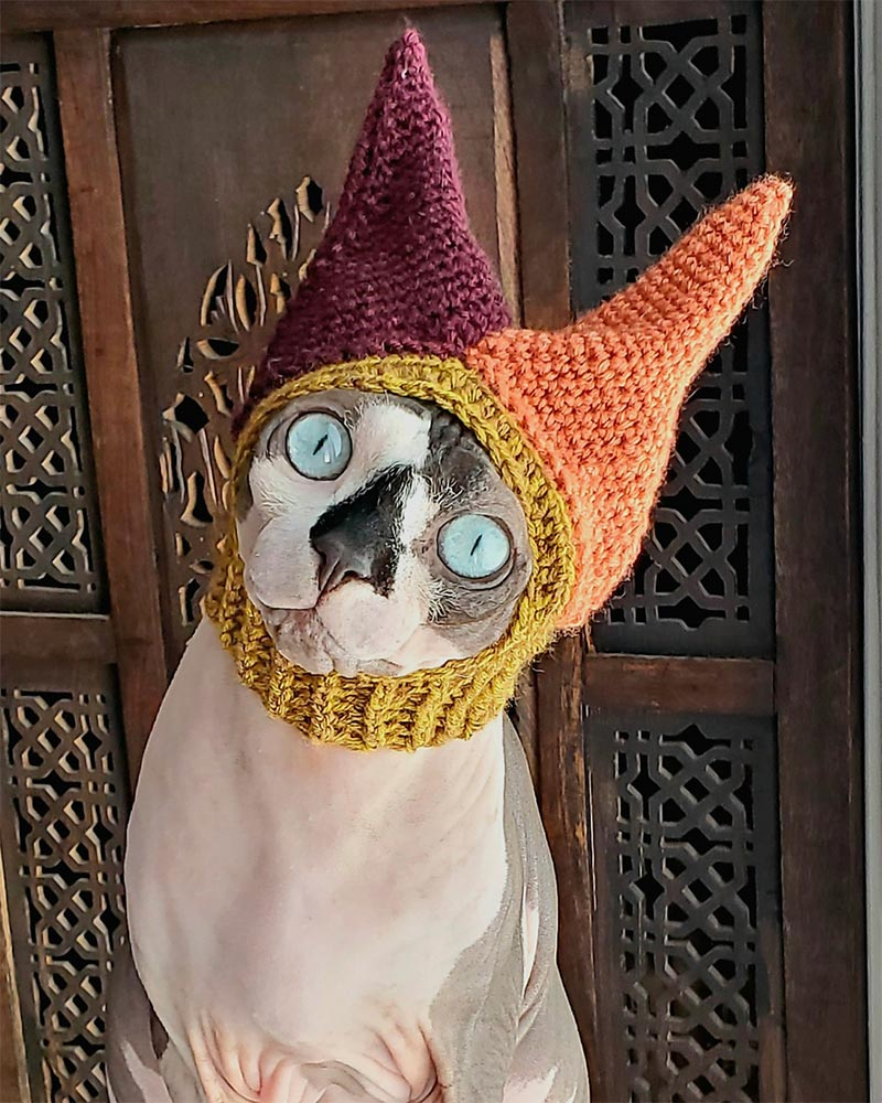 33 Free Crochet Cat Hat Patterns Made From Yarn