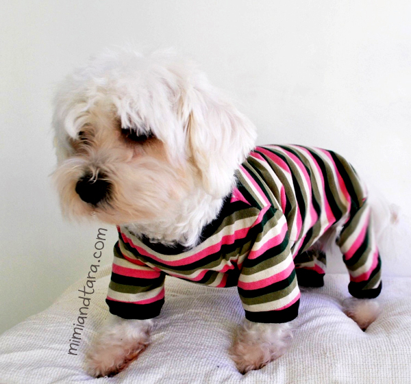 35 Free Printable Dog Pajama Pattern SadieSandy