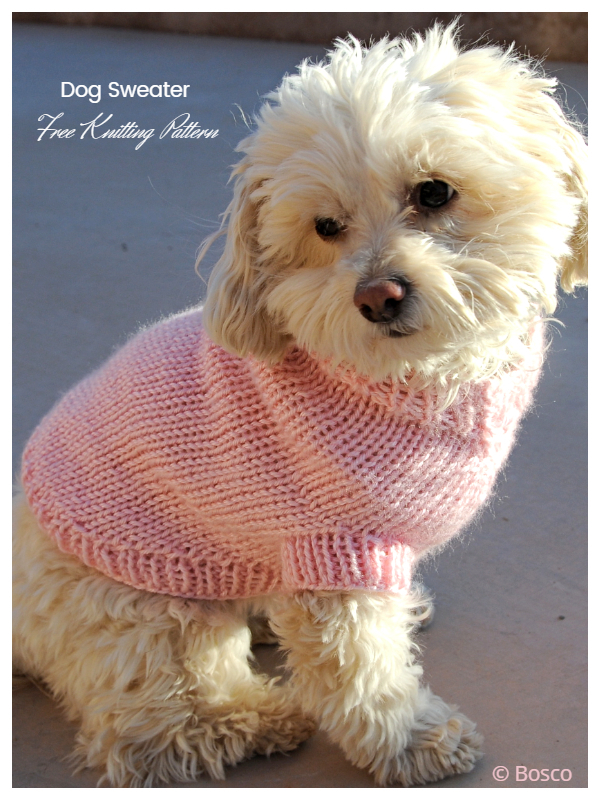 8768 Free Knitting Pattern For Dog Sweater Beginner Free Kinitting 