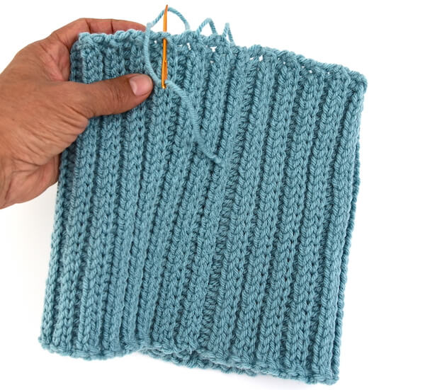 Beginner Crochet Ribbed Beanie FREE Pattern Zamiguz