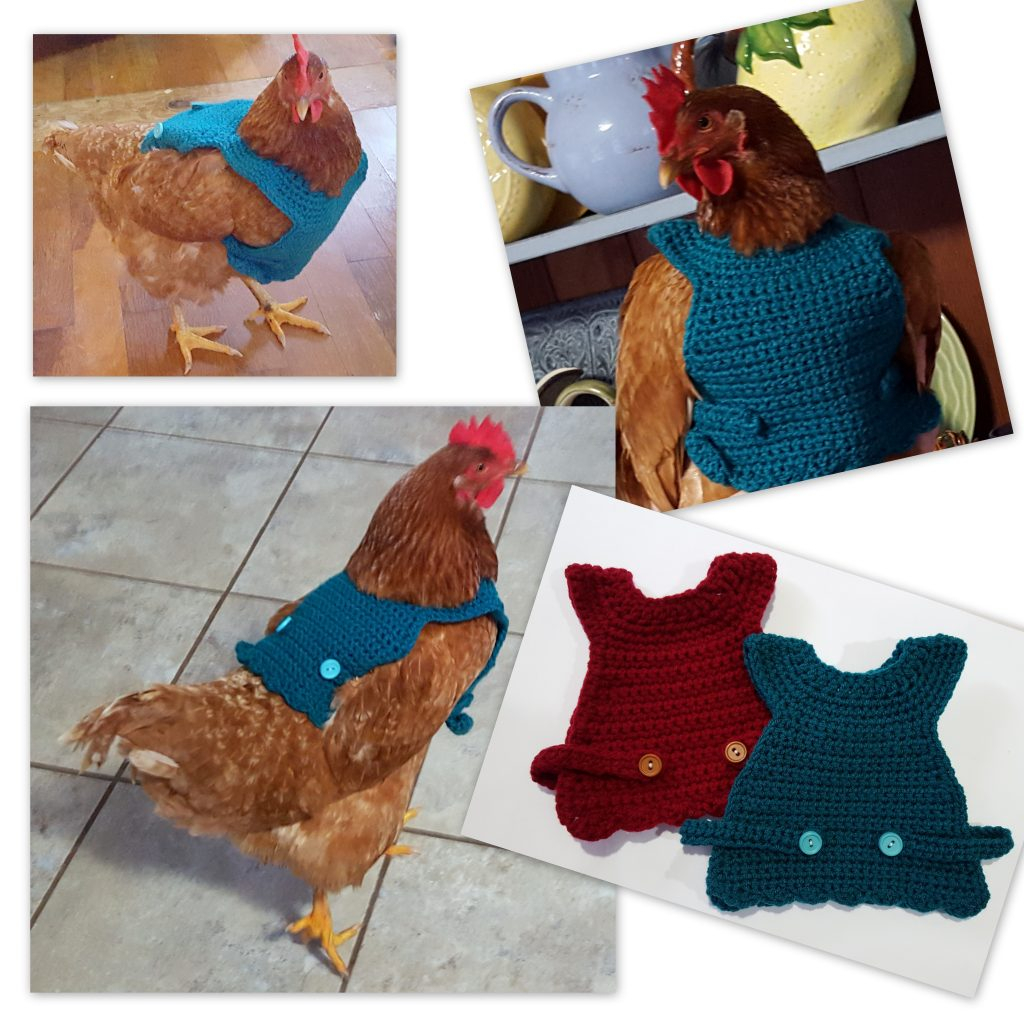 Chicken Sweater Crochet Pattern Jasmine Art Works