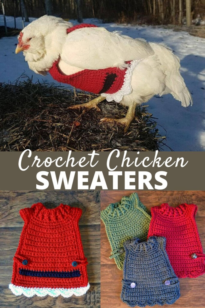 Chicken Sweater Crochet Patterns Ideas The WHOot Chicken Sweater 