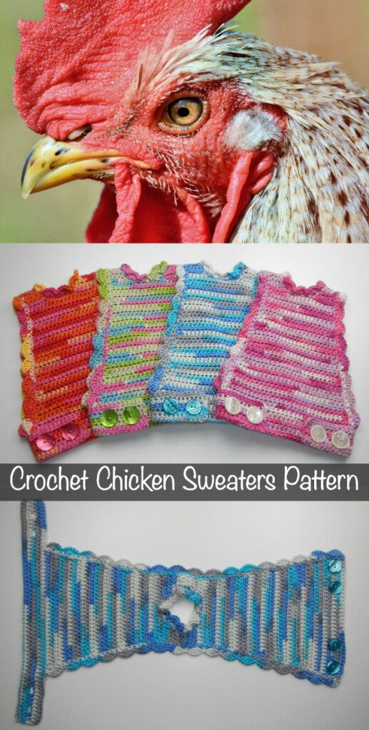 Chicken Sweater Crochet Patterns Ideas The WHOot Chicken Sweater 