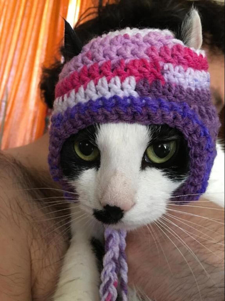 Crochet Cat Hat Patterns Free Craft And Crochet