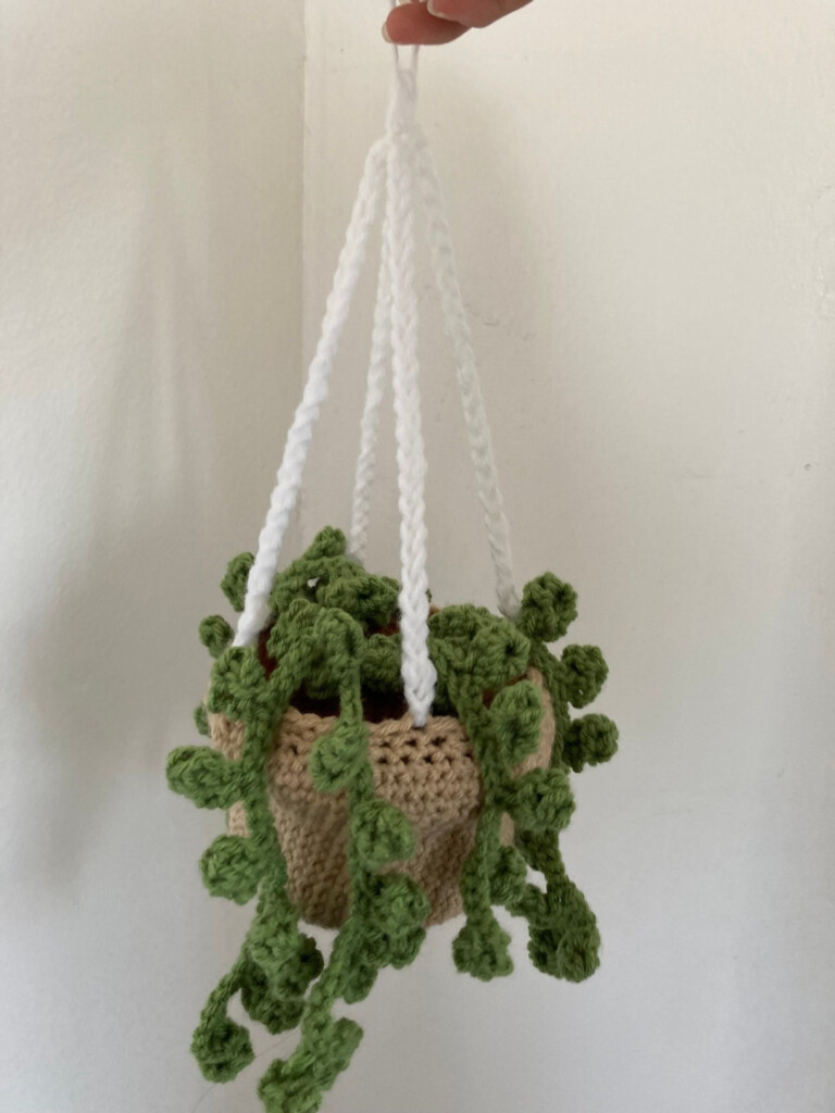 Crochet Hanging Plant Pattern Etsy