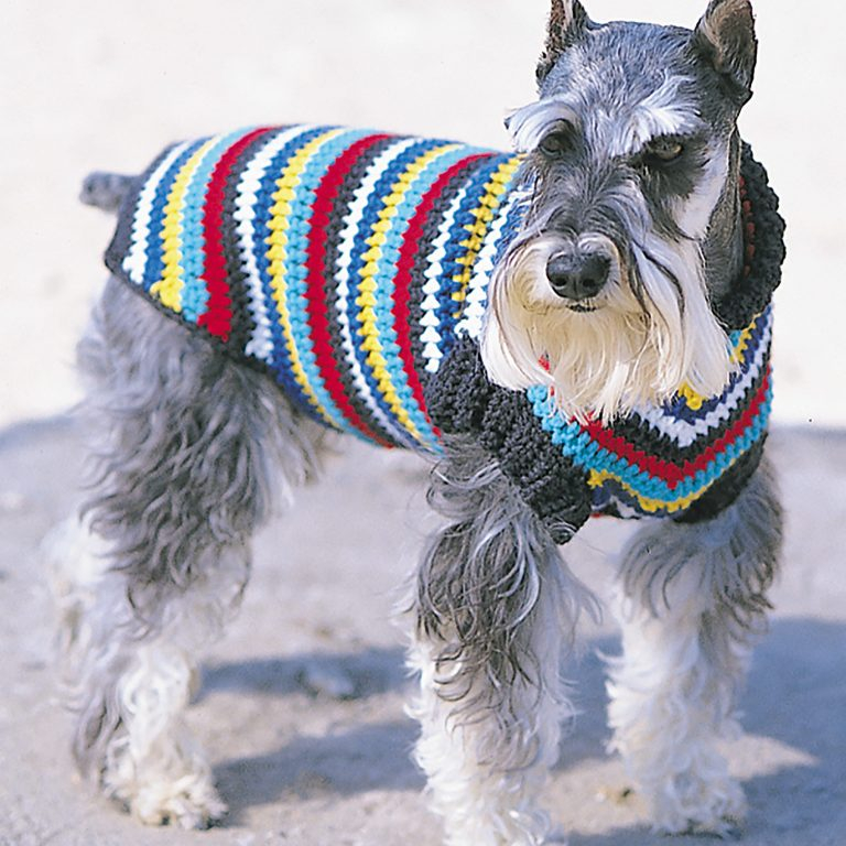 Easy Puppy Sweater Crochet Pattern At Clarence Conklin Blog