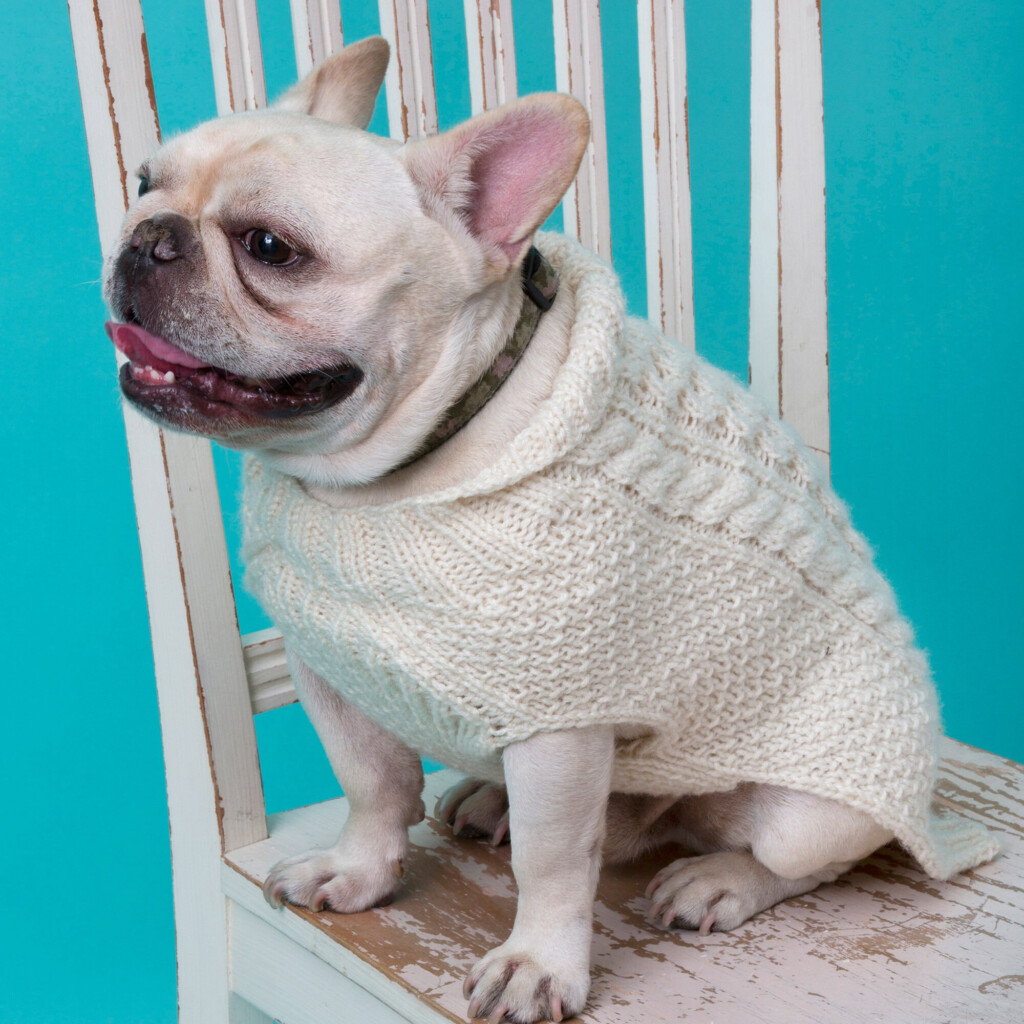 Easy Puppy Sweater Crochet Pattern At Clarence Conklin Blog