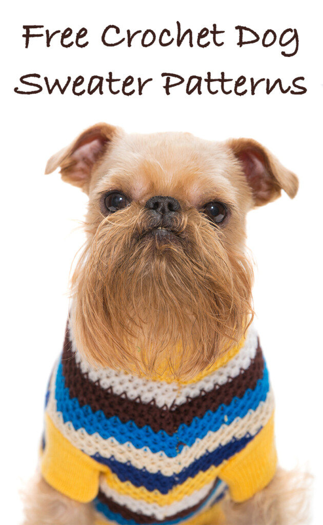 Easy Puppy Sweater Crochet Pattern At Clarence Conklin Blog