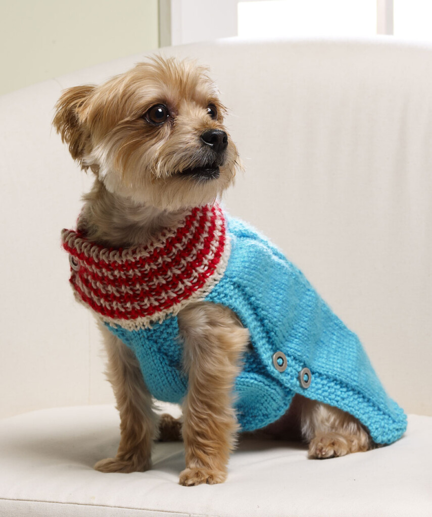 Easy To Knit Dog Sweater Free Pattern