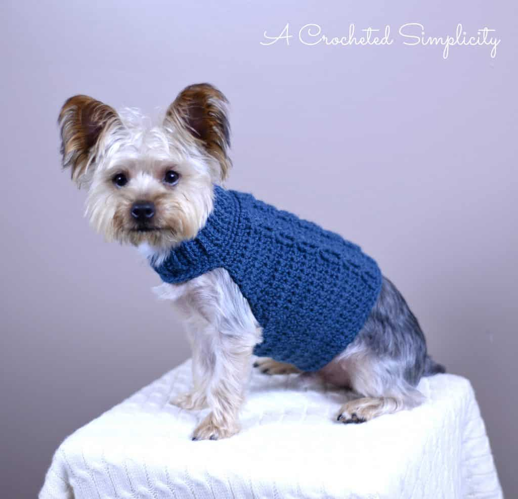 Free Charity Crochet Pattern Cabled Dog Sweater A Crocheted Simplicity