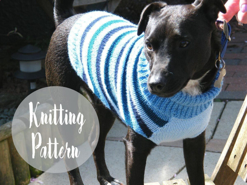 Free Easy Knit Dog Sweater Pattern