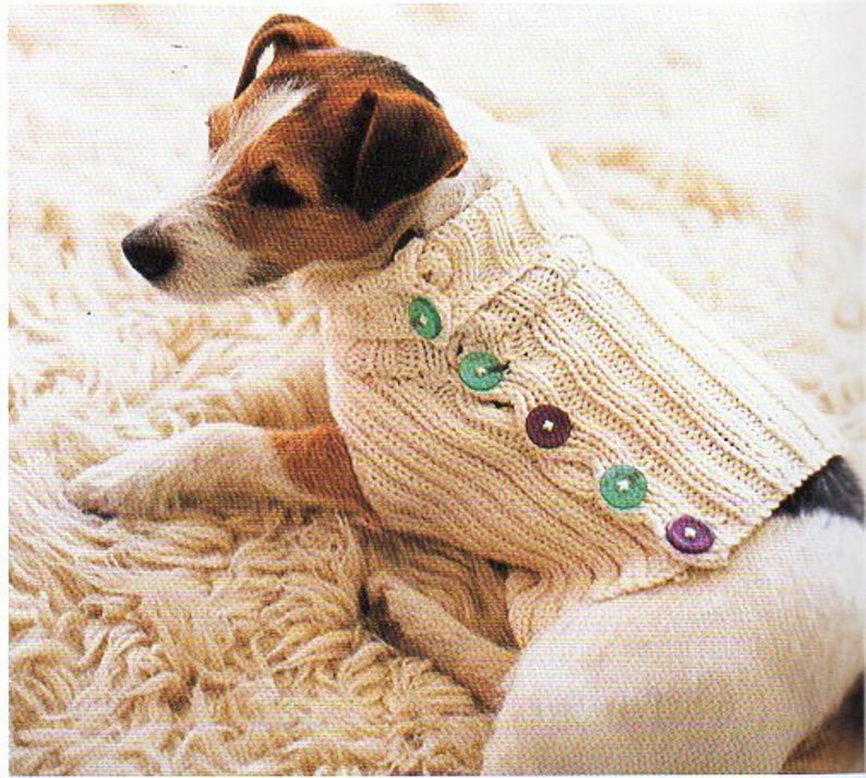 Free Pattern For Knit Dog Sweater At Arthur Moore Blog