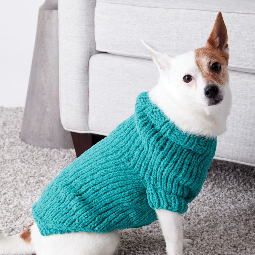 Free Pattern For Knitted Dog Coat Web 10 Free Easy Knit Dog Sweater 