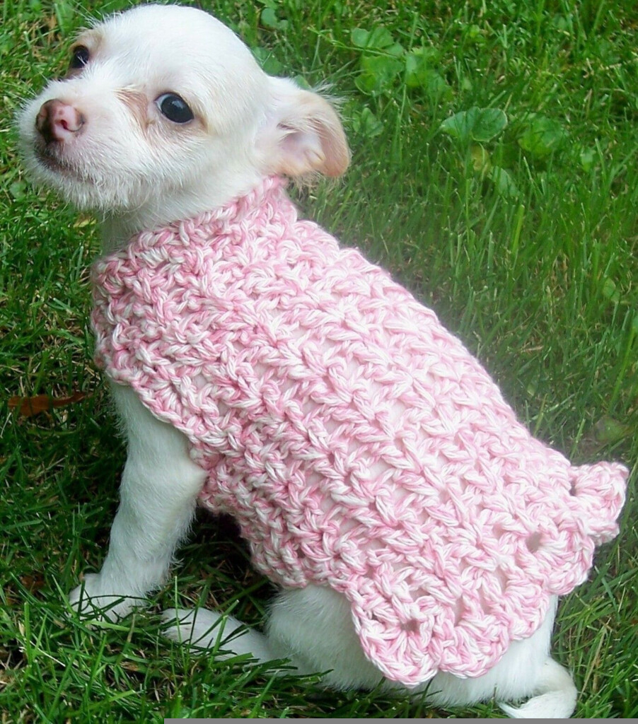 Free Printable Crochet Small Dog Sweater Patterns Free Printable Pattern