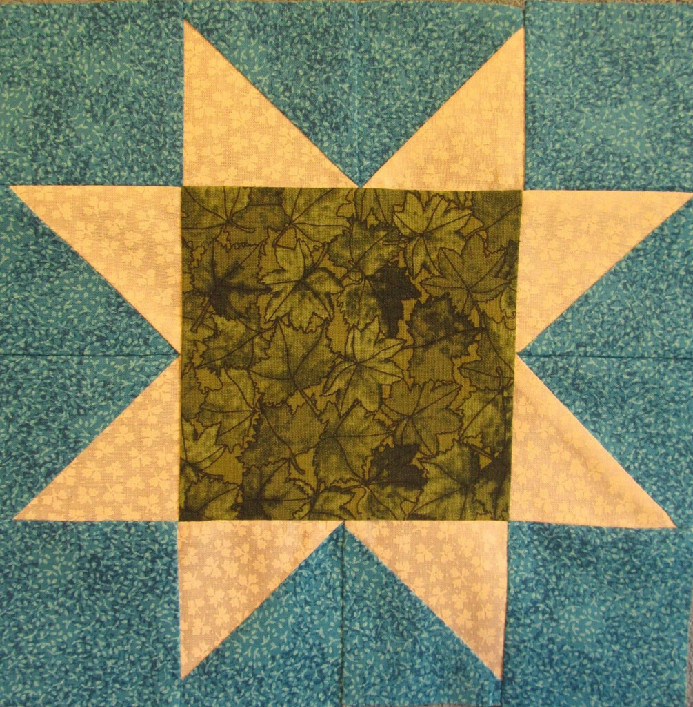 Free Star Block Pattern Quilt Block Of The Month the Ribbon Star Quilt 