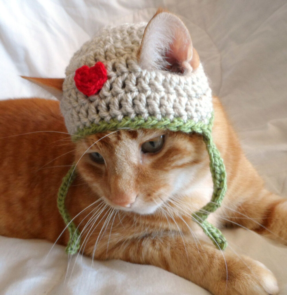 Hat For Cat Crochet Pattern