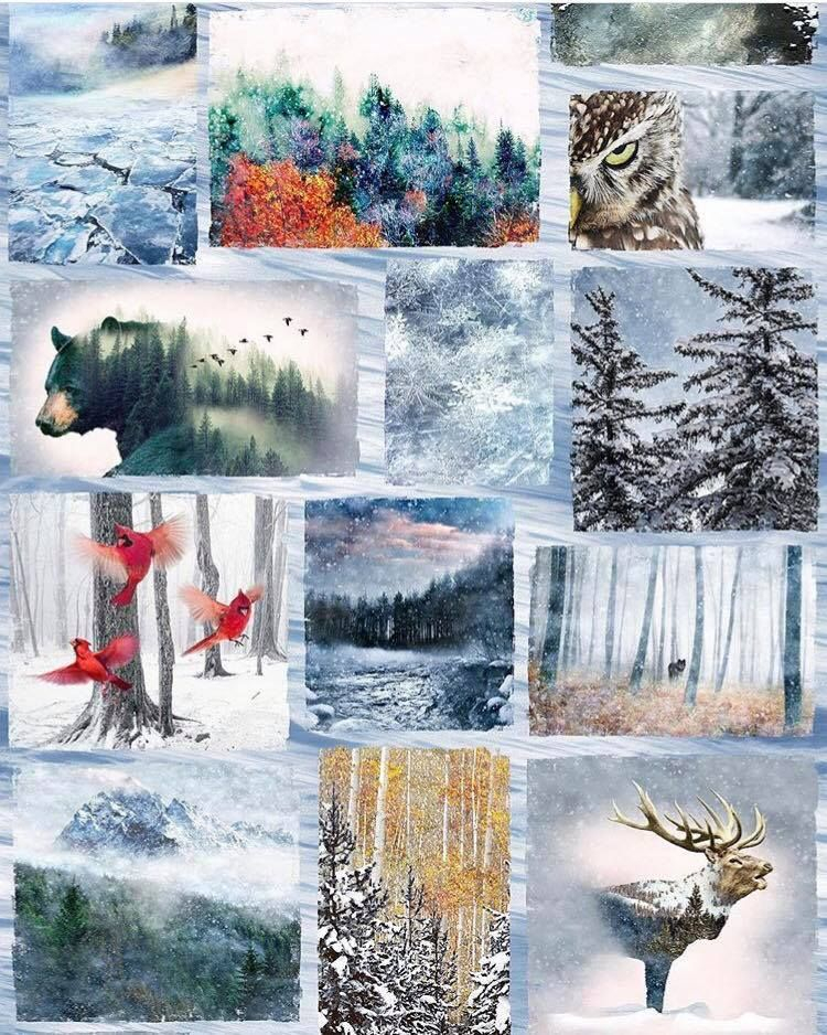 Hoffman Call Of The Wild Free Patterns