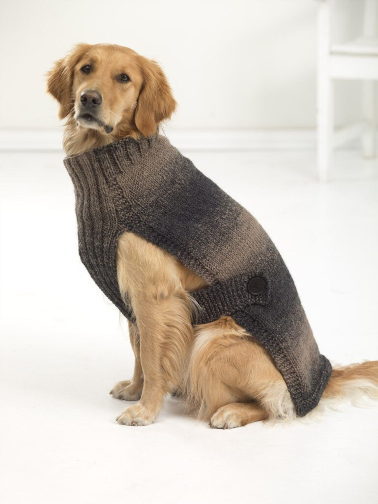 Knit Dog Sweater Pattern Free A Roundup Of Seven Free Dog Sweater 