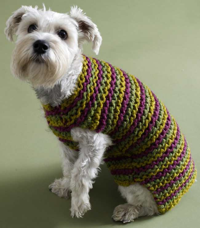 Knit Dog Sweater Pattern Free Beginner Friendly Knit Patterns
