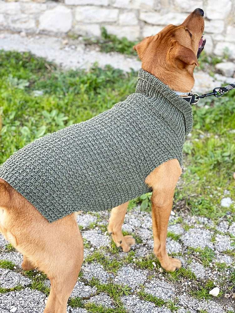 Knit Dog Sweater Pattern Free Beginner Friendly Knit Patterns