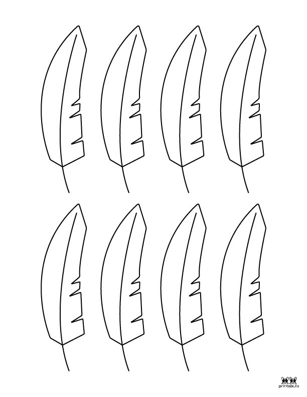 Printable Turkey Feather Pattern